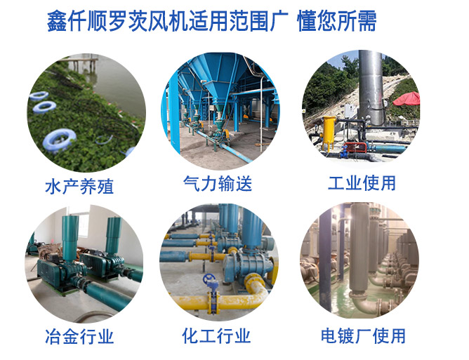 羅茨鼓風(fēng)機(jī) 羅茨鼓風(fēng)機(jī)