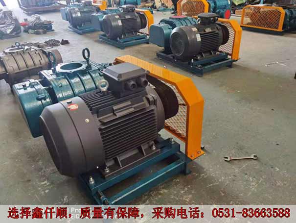 高壓羅茨鼓風(fēng)機(jī) 發(fā)貨廣西高壓羅茨鼓風(fēng)機(jī)XQSSR15030KW6臺(tái)(圖2)